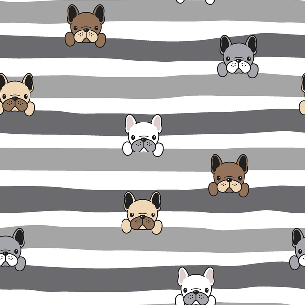 Dogs & Stripes - Jogging