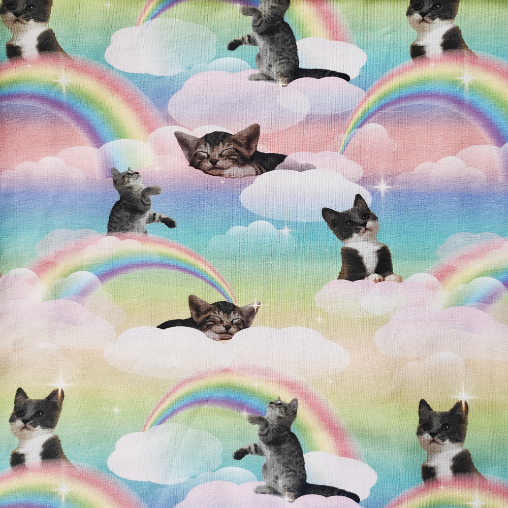 Kittens rainbow clouds - Trikåtyg